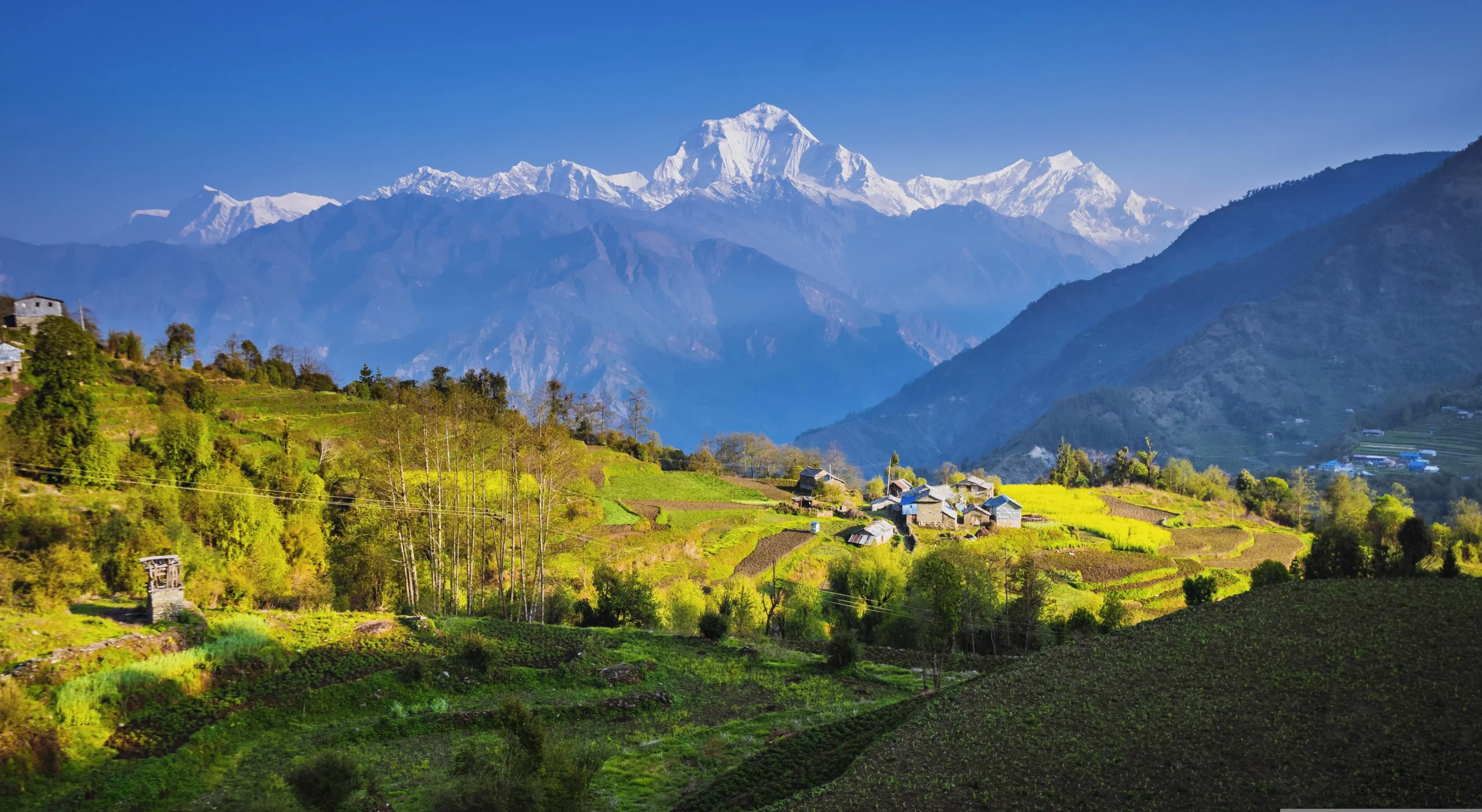 Reasons to Visit Nepal